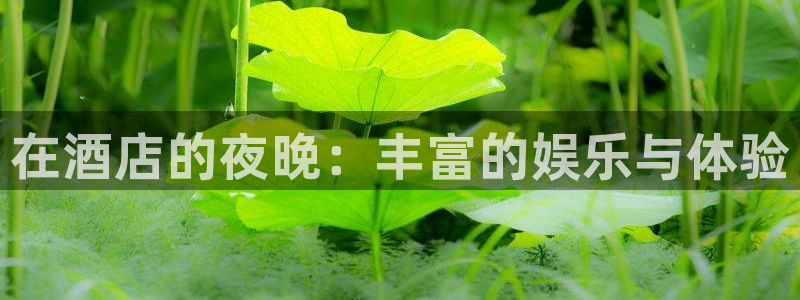 富联娱乐：在酒店的夜晚：丰富的娱乐与体验