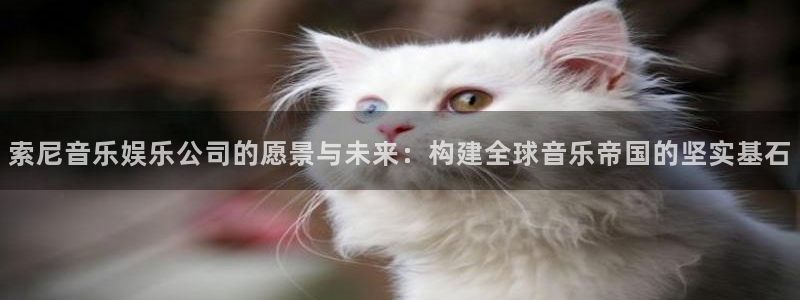 富联娱乐：索尼音乐娱乐公司的愿景与未来：构建全球音乐帝国的坚实基石