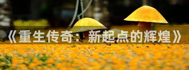 富联娱乐：《重生传奇：新起点的辉煌》