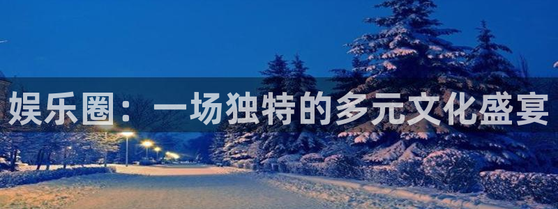富联娱乐：娱乐圈：一场独特的多元文化盛宴