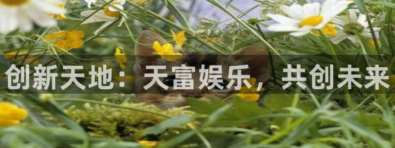 富联娱乐：创新天地：天富娱乐，共创未来